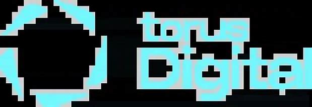 Magnus Steel And Infra Ltd - Right Issue Details ✅ Allotment Status