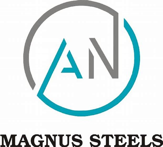 Magnus Steel And Infra Ltd - Right Issue Details ✅ Allotment Status