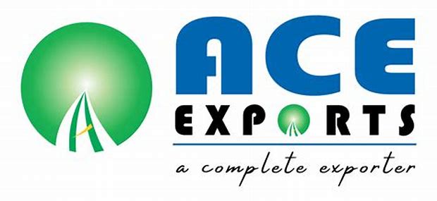 Ace Software Exports Ltd - Right Issue Details ✅ Allotment Status