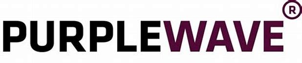 Purple Wave Infocom Limited - Main Board Ipo Details ✅ Allotment Status