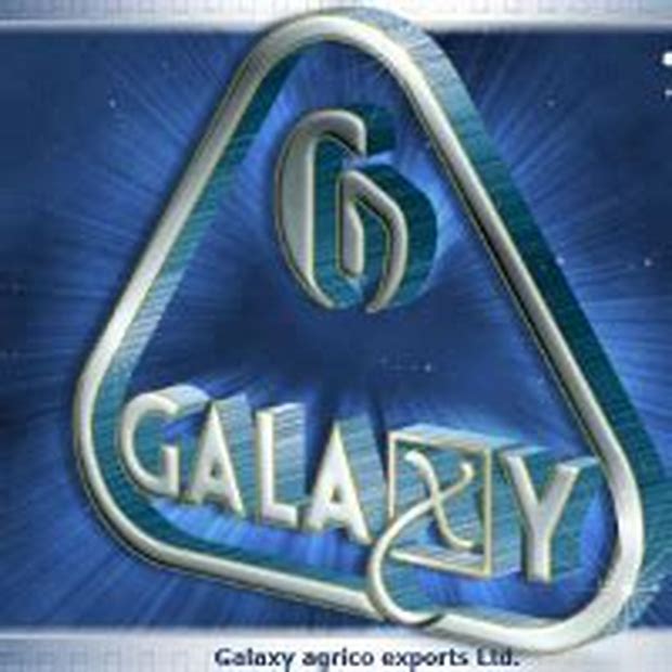 Galaxy Agrico Exports Ltd - Right Issue Details ✅ Allotment Status