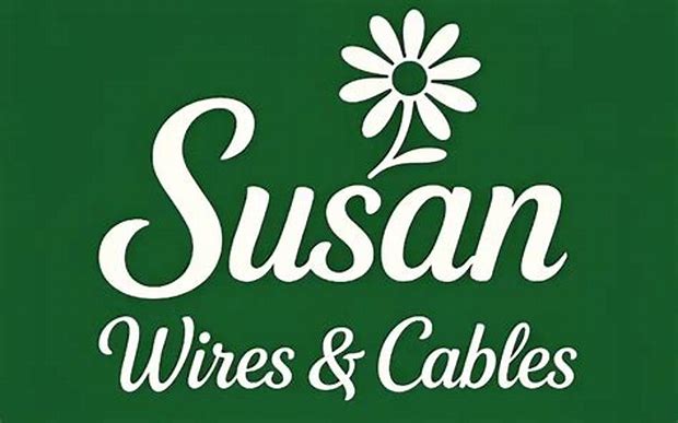 Susan Electricals India Limited - Main Board Ipo Details ✅ Allotment Status