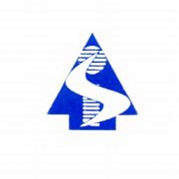 Senthil Infotek Ltd - Offer To Buy Details ✅ Allotment Status