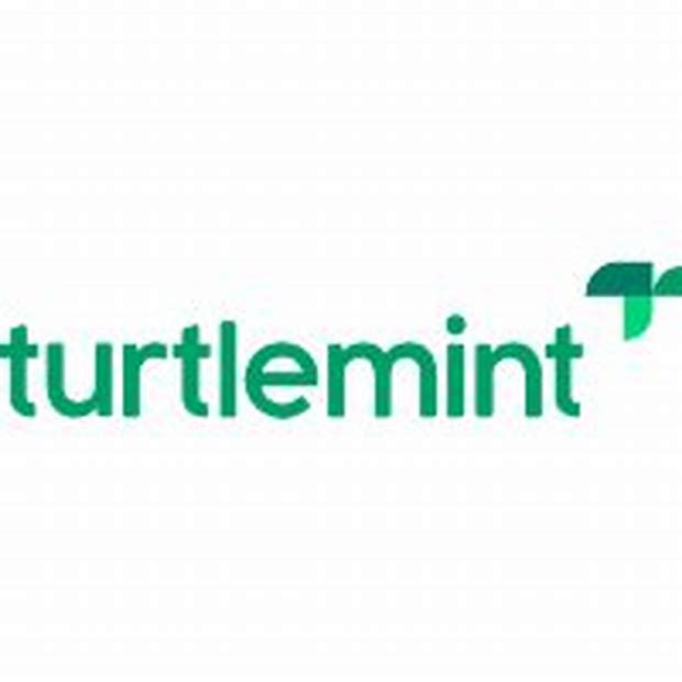 Turtlemint Fintech Solutions Limited - Main Board Ipo Details ✅ Allotment Status