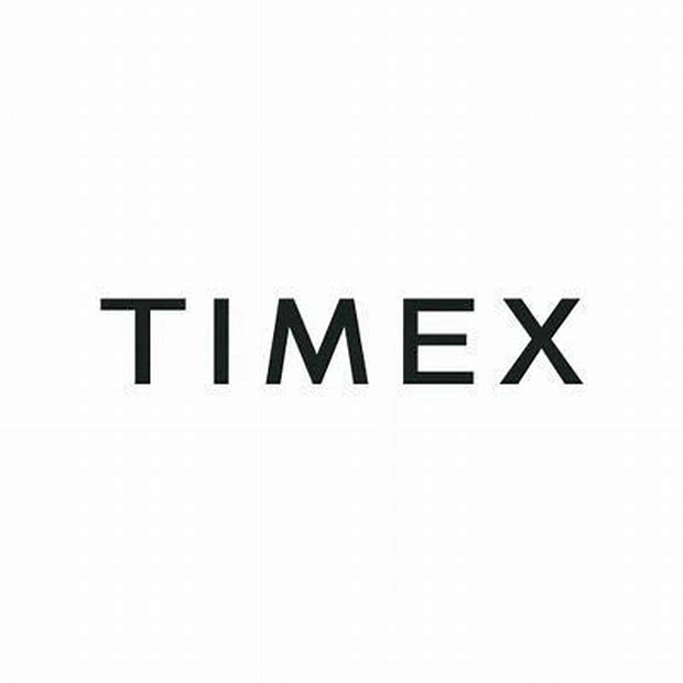 Timex Group India Ltd - Other Issue Details ✅ Allotment Status