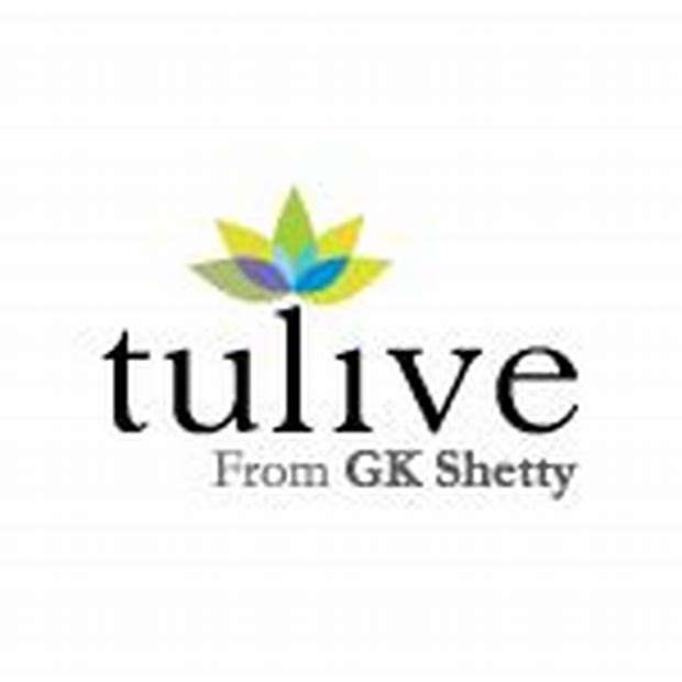 Tulive Developers Ltd - Offer To Buy Details ✅ Allotment Status