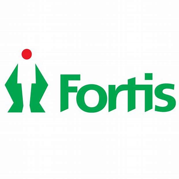 Fortis Healthcare Ltd - Offer To Buy Details ✅ Allotment Status