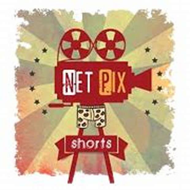 Net Pix Shorts Digital Media Ltd - Offer To Buy Details ✅ Allotment Status