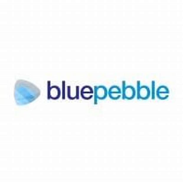 Blue Pebble Limited - Sme Details ✅ Allotment Status