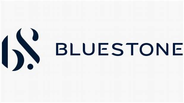 Bluestone Jewellery And Lifestyle Limited - Main Board Ipo Details ✅ Allotment Status