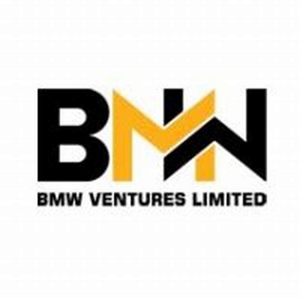 Bmw Ventures Limited - Other Issue Details ✅ Allotment Status