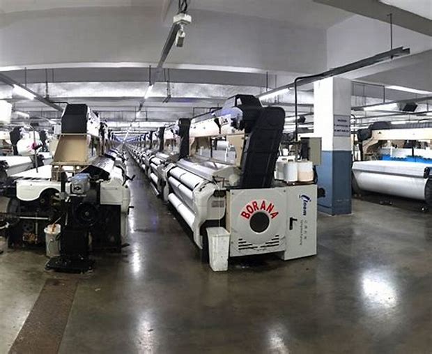 Borana Weaves Limited - Other Issue Details ✅ Allotment Status