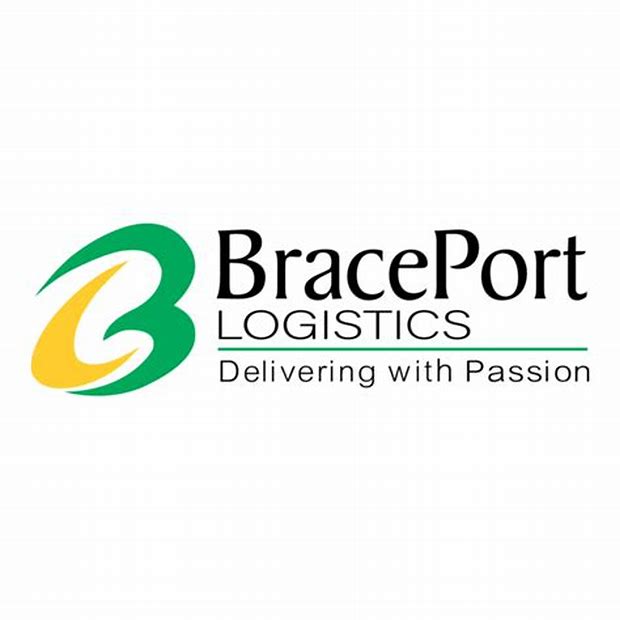Brace Port Logistics Limited - Sme Details ✅ Allotment Status