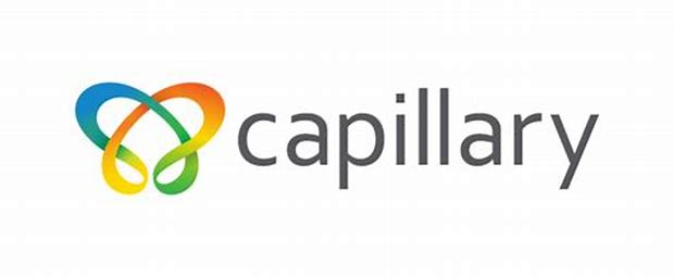 Capillary Technologies India Limited - Main Board Ipo Details ✅ Allotment Status