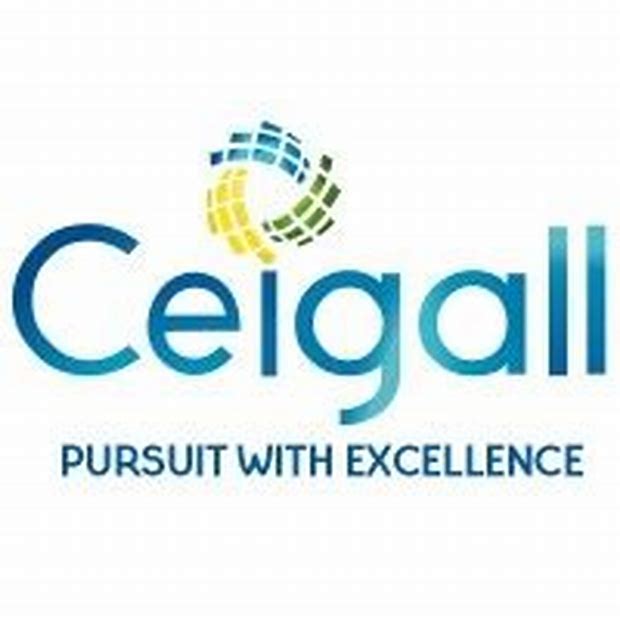 Ceigall India Limited - Main Board Ipo Details ✅ Allotment Status