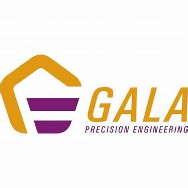 Gala Precision Engineering Limited - Other Issue Details ✅ Allotment Status