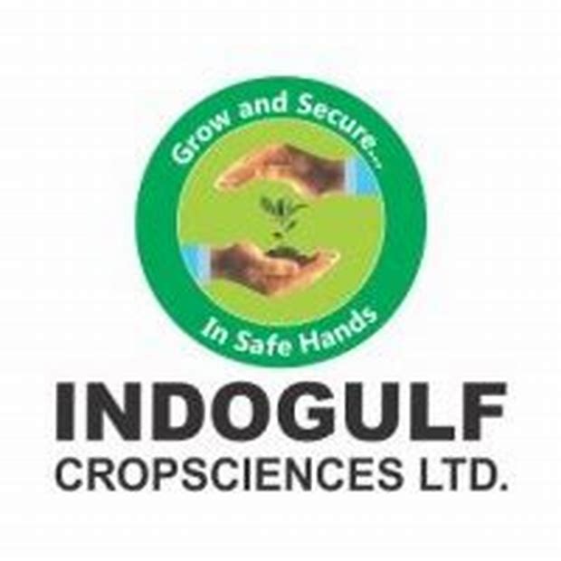 Indogulf Cropsciences Limited - Other Issue Details ✅ Allotment Status