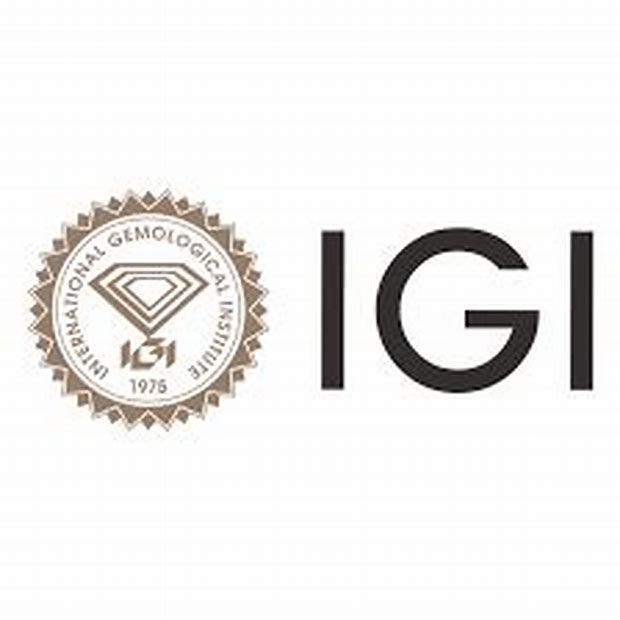 International Gemmological Institute (india) Limited - Main Board Ipo Details ✅ Allotment Status