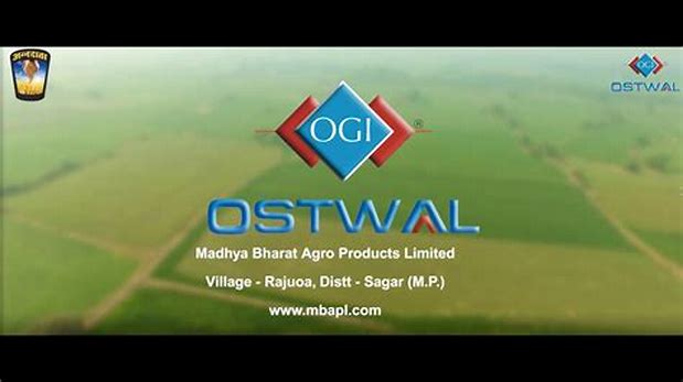 Madhya Bharat Agro Products Limited - Sme Details ✅ Allotment Status