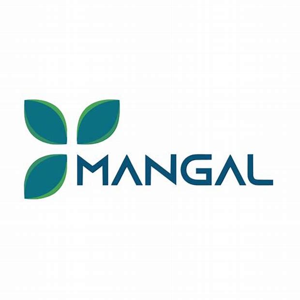 Mangal Electrical Industries Limited - Main Board Ipo Details ✅ Allotment Status