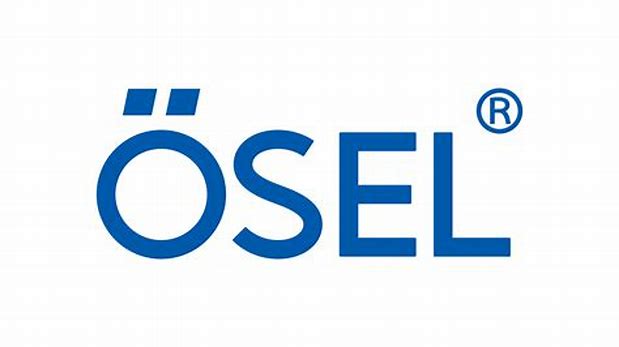 Osel Devices Limited - Sme Details ✅ Allotment Status