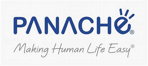 Panache Digilife Limited - Sme Details ✅ Allotment Status