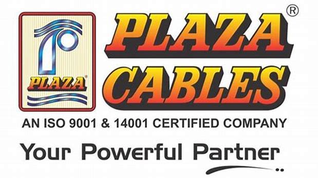 Plaza Wires Limited - Other Issue Details ✅ Allotment Status