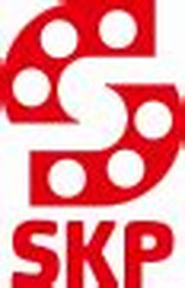 Skp Bearing Industries Limited - Sme Details ✅ Allotment Status