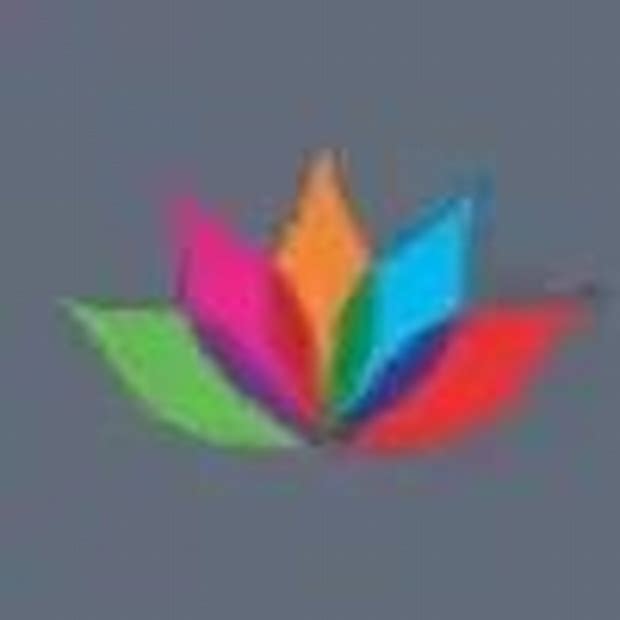 IPO Details Logo