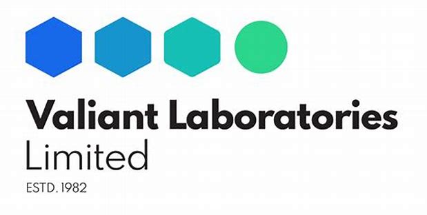 Valiant Laboratories Limited - Other Issue Details ✅ Allotment Status
