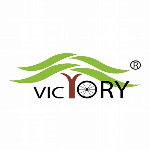 Victory Electric Vehicles International Ltd (NSE SME) Logo